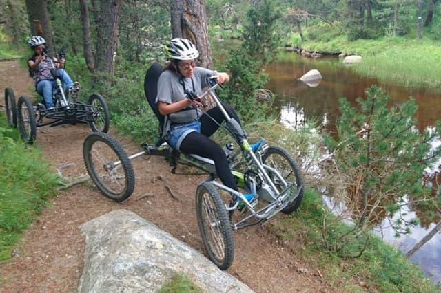 Quad Bike