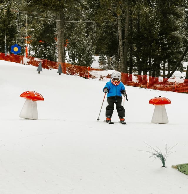 Ski Pass for Beginners