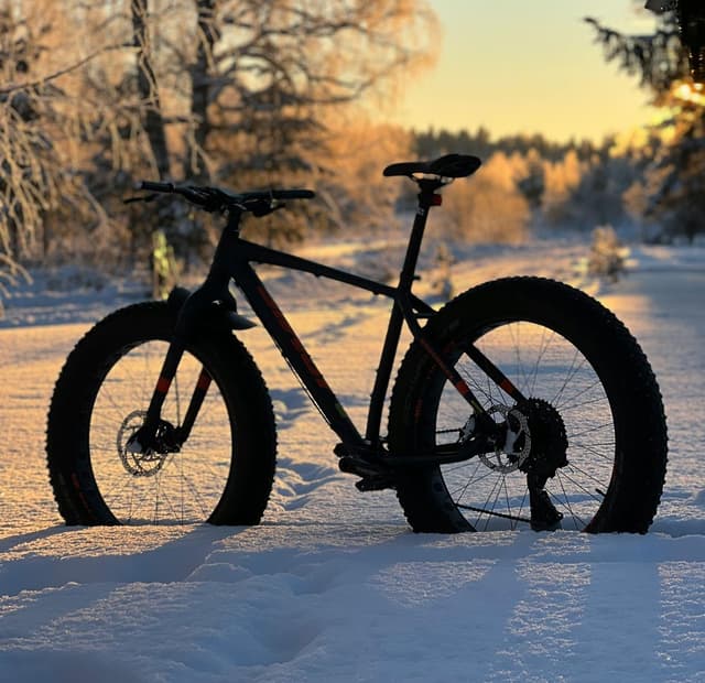 Bicicleta de neu