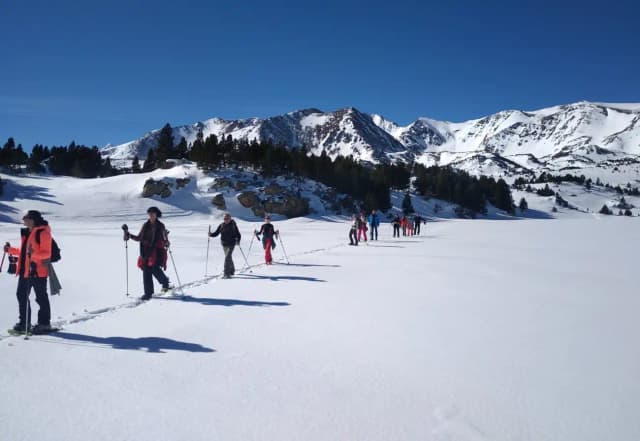 Randonnée raquettes