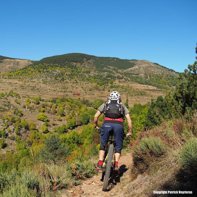 Sortie VTT encadrée